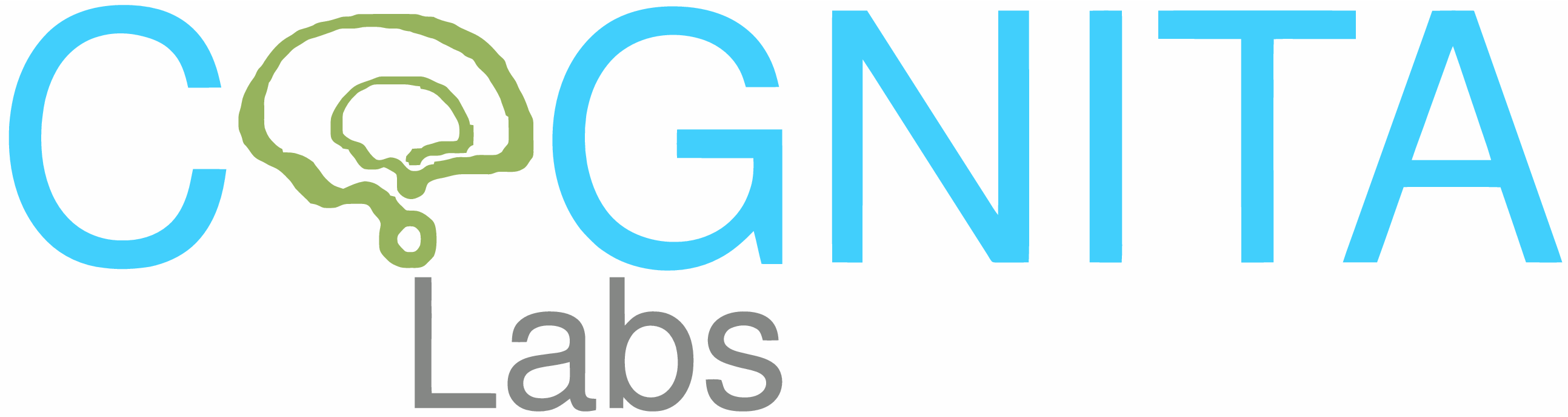 Cognita Labs