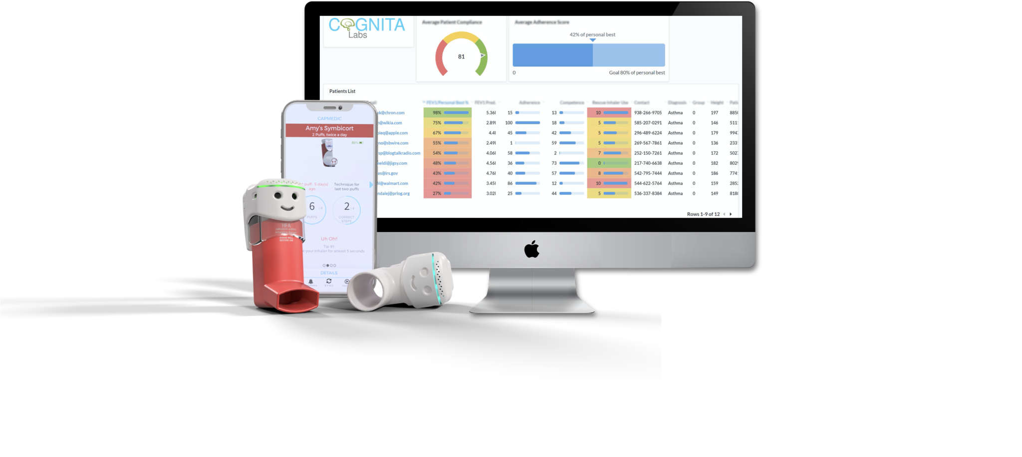 Cognita Labs